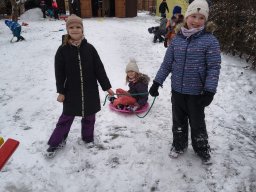 Leden ve ŠD