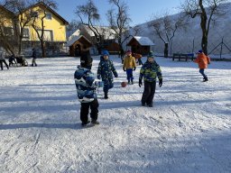 Leden na sněhu