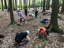 Škola v přírodě 2025