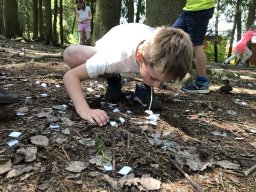 Škola v přírodě 2025