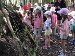 Škola v přírodě 2025