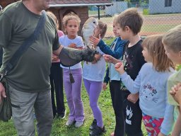 Ukázka výcviku dravců