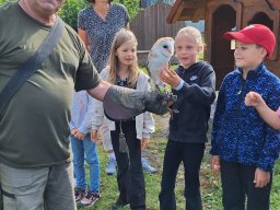 Ukázka výcviku dravců