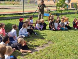 Ukázka výcviku dravců