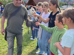 Ukázka výcviku dravců