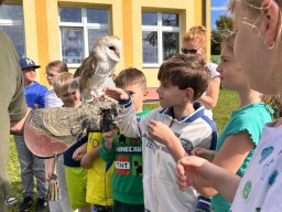 Ukázka výcviku dravců