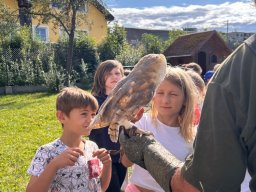 Ukázka výcviku dravců