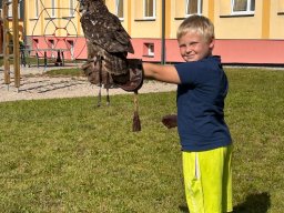 Ukázka výcviku dravců