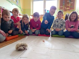 Akce s Wendy Bílkovou