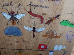 Akce s Wendy Bílkovou