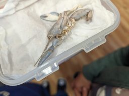 Akce s Wendy Bílkovou